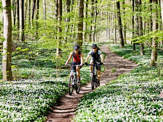 Två personer som cyklar på en skogsstig.