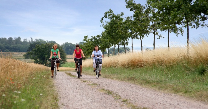 Tre kvinnor som cyklar på en grusväg