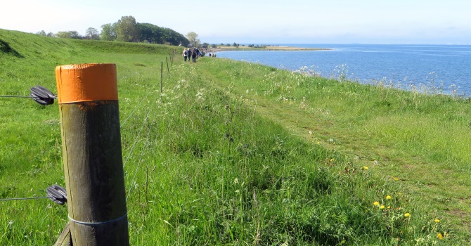 Orange markering på staket och utsikt över gräs och hav