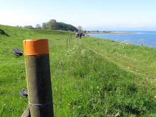 Äng, hav och Skåneledens orangea märke på staket.